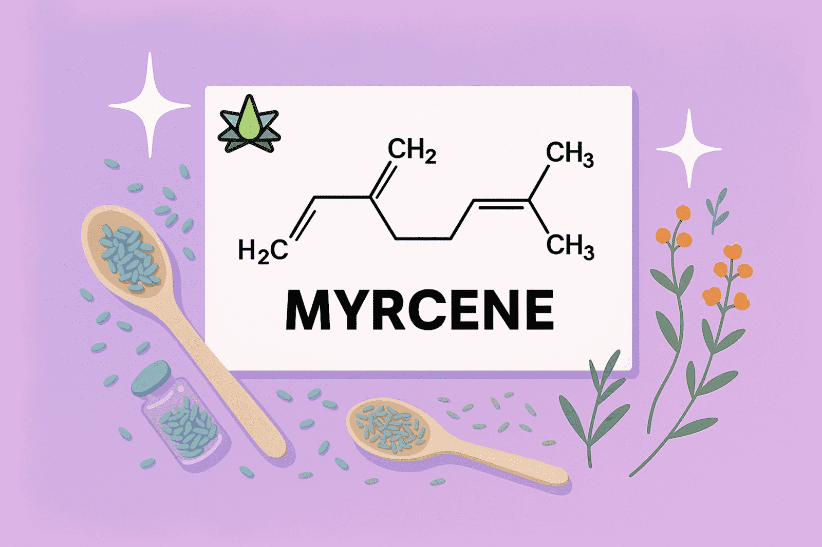 Illustration of myrcene's chemical structure with herbs, seeds, and wooden spoons on a purple background.